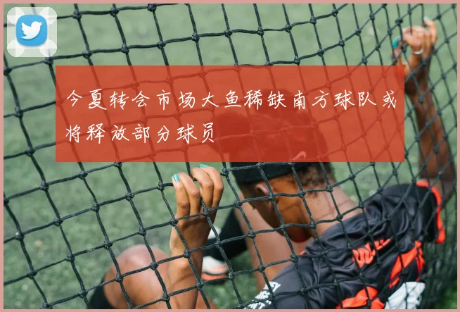 今夏转会市场大鱼稀缺南方球队或将释放部分球员