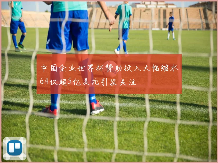 中国企业世界杯赞助投入大幅缩水64仅超5亿美元引发关注
